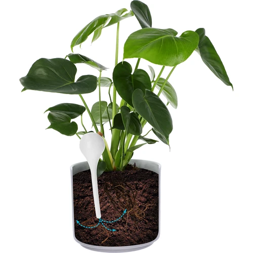 Μπάλες ποτίσματος για φυτά, λευκές ημιδιαφανείς με φελλό,  400ml, 4 τεμ. - 6