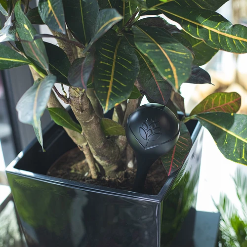 Μπάλες ποτίσματος για φυτά, μαύρες ματ, 400 ml, 4 τεμ. - 9