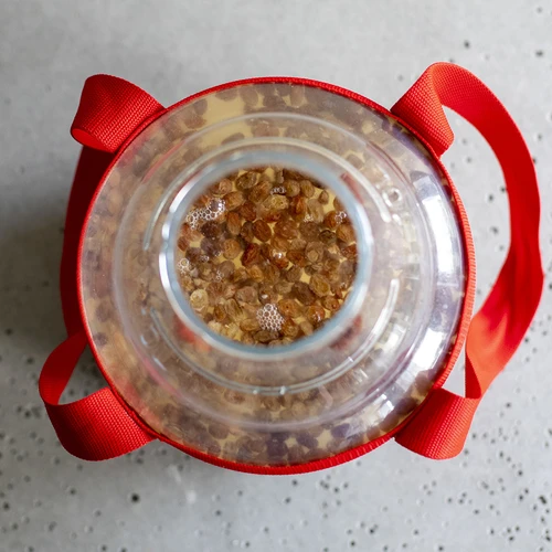 Νταμιτζάνα για κρασί, ελαφριά, άθραυστη, με ιμάντες, 10 L - 18