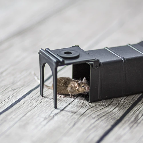 Παγίδα για ποντίκια - ζωντανής σύλληψης - 8