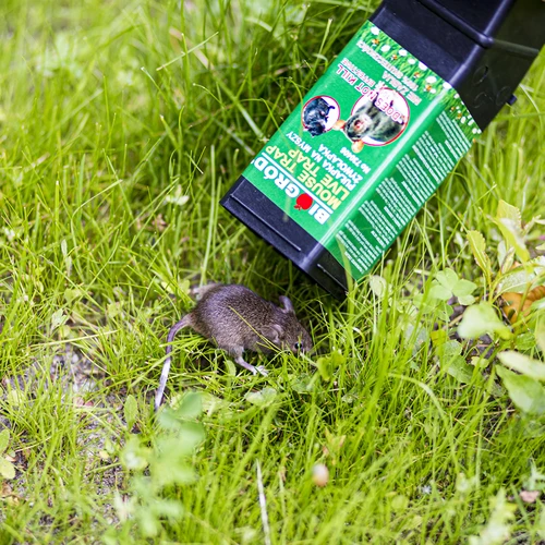 Παγίδα για ποντίκια - ζωντανής σύλληψης - 10