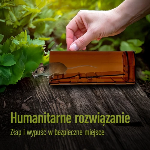 Παγίδα για ποντίκια – ζωντανής σύλληψης, διάφανη, 2 τεμ. - 7