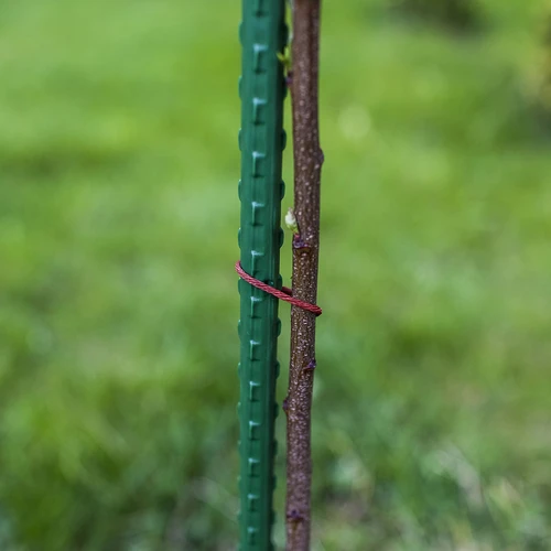 Πάσσαλοι κήπου Bioogród – ατσάλινοι επικαλυμμένοι, 0,9 m, Ø 8 mm, 10 τεμ. - 6