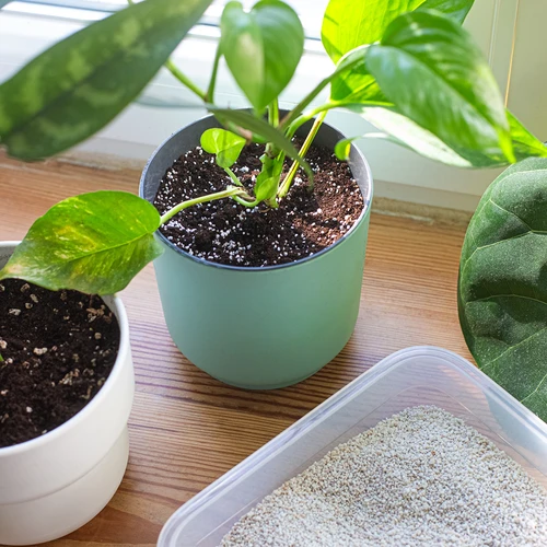 Περλίτης για φυτά σε γλάστρες και για κηπουρική, 2 L - 8