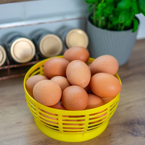 Πλαστικό καλάθι για Dam 5 L, κίτρινο - 8