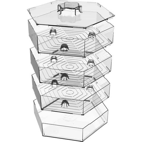 Πολυεπίπεδο φυτρωτήρι Niezłe Ziółko με σπόρους ραπανιού - 7