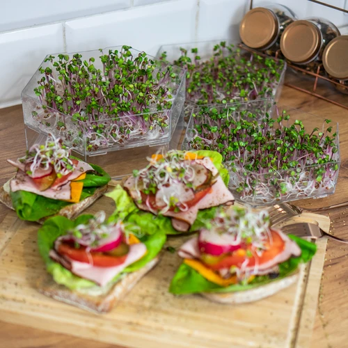 Πολυεπίπεδος βλαστητήρας Niezłe Ziółko + 10 συσκευασίες σπόρων - 18