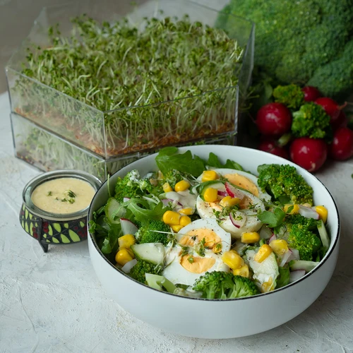 Πολυεπίπεδος βλαστητήρας Niezłe Ziółko + 10 συσκευασίες σπόρων - 15