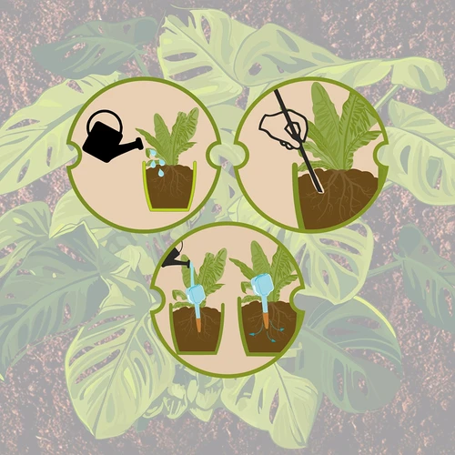 Ποτιστήρι φυτών - λευκή πινακίδα με κεραμική αιχμή, 200 ml - 12