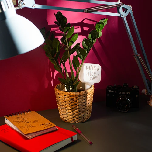 Ποτιστήρι φυτών - λευκή πινακίδα με κεραμική αιχμή, 200 ml - 11