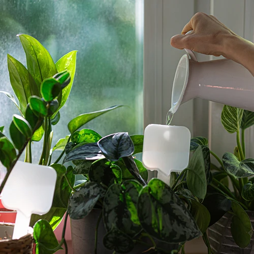 Ποτιστήρι φυτών - λευκή πινακίδα με κεραμική αιχμή, 200 ml - 8