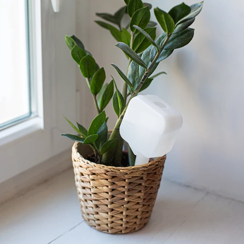 Ποτιστήρι φυτών - λευκή πινακίδα με κεραμική αιχμή, 200 ml - 9