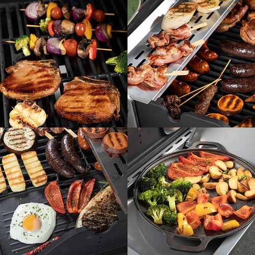 Ψησταριά υγραερίου dragON BBQ101, 11,7 kW, μαύρο-ασημί - 11