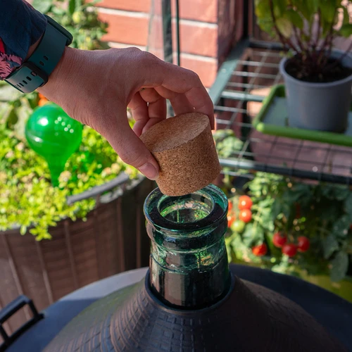 Πώμα από φελλό 55/46 mm - 4