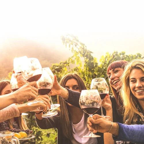 Σετ οινοποίησης 15 L με γυάλινη νταμιτζάνα - 15