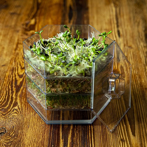 Σετ σπόρων για φύτρα - 10 συσκευασίες - 7