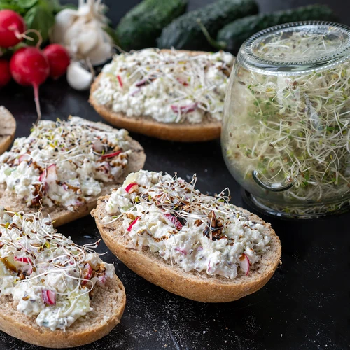 Σετ σπόρων για φύτρα - 10 συσκευασίες - 4