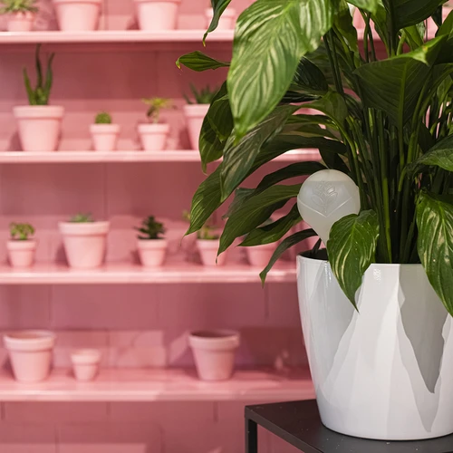 Σφαίρα ποτίσματος για φυτά, λευκή ματ με κεραμική ακίδα, 400 ml - 10