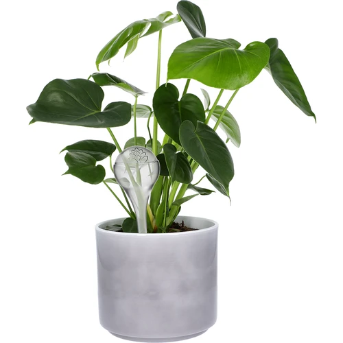 Σφαίρες αυτοποτισμού, διαφανείς, 400 ml, 4 τεμ. - 6