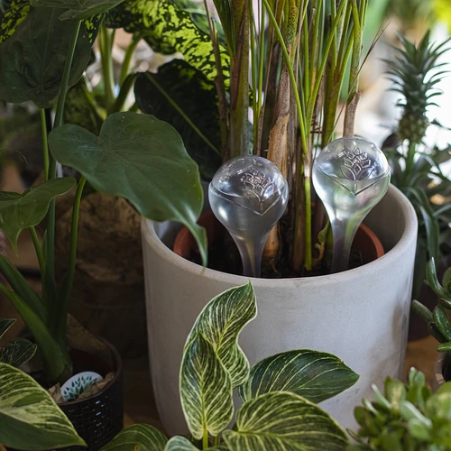 Σφαίρες αυτοποτισμού, διαφανείς, 400 ml, 4 τεμ. - 8