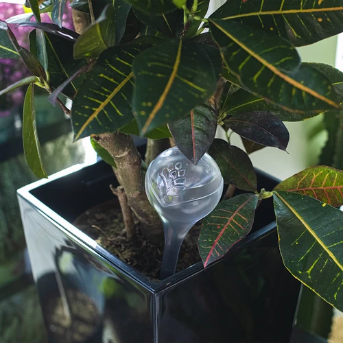 Σφαίρες αυτοποτισμού, διαφανείς, 400 ml, 4 τεμ. - 9