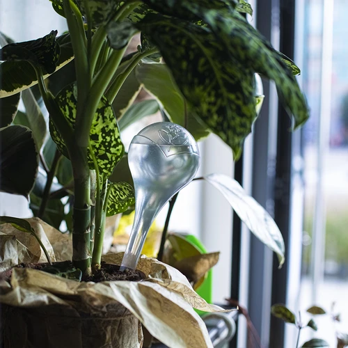 Σφαίρες αυτοποτισμού, διαφανείς, 400 ml, 4 τεμ. - 11