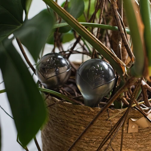 Σφαίρες ποτίσματος για φυτά, διαφανείς μαύρες, 400 ml, 2 τεμ. - 14