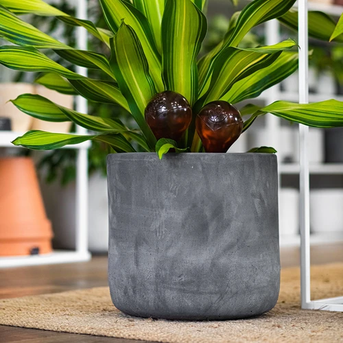 Σφαίρες ποτίσματος για φυτά, διάφανες κεχριμπαρένιες, 400 ml, 4 τεμ. - 12