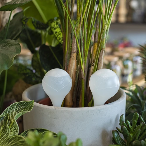 Σφαίρες ποτίσματος για φυτά, λευκές ημιδιαφανείς, 400 ml, 4 τεμ. - 8