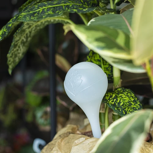 Σφαίρες ποτίσματος για φυτά, λευκές ημιδιαφανείς, 400 ml, 4 τεμ. - 10