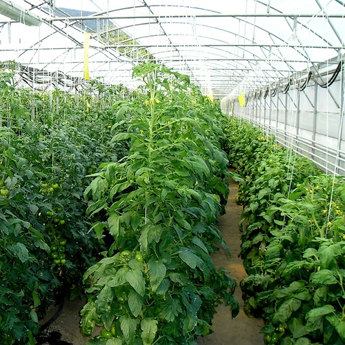 Σπάγγος πολυπροπυλενίου 1 mm/65 m/50 g - 5