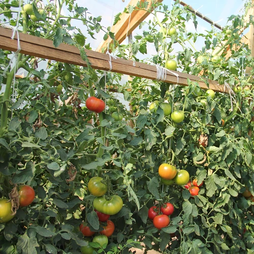 Σπάγγος πολυπροπυλενίου 1 mm/65 m/50 g - 7