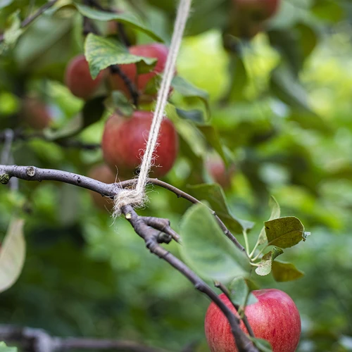 Σπάγκος γιούτας 2 mm/110 m/250 g - 8