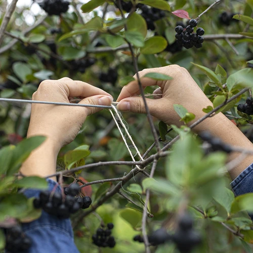 Σπάγκος σίζαλ 1,8 mm/115 m/250 g - 7