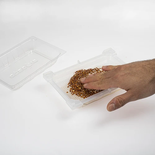 Σποροβλαστήρας Zielona Czuprynka με σπόρους ραπανιού - 6