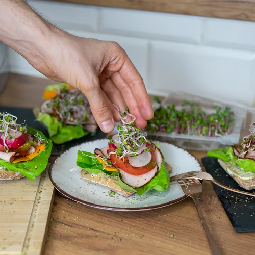 Σποροβλαστήρας Zielona Czuprynka με σπόρους ραπανιού - 11