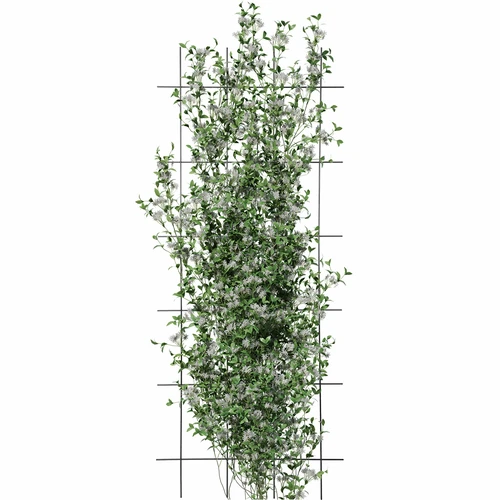 Στήριγμα φυτών - καφασωτό (150 cm x 60 cm) 3 τεμάχια - 3