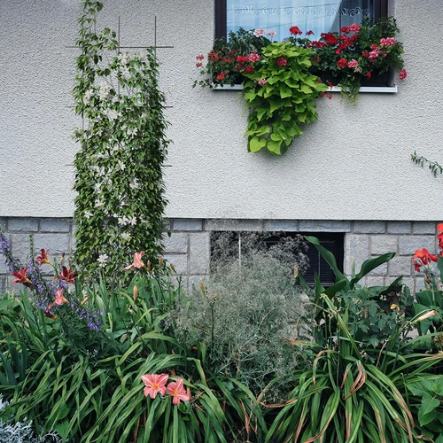 Στήριγμα φυτών - καφασωτό κήπου 150 x 45cm - 4