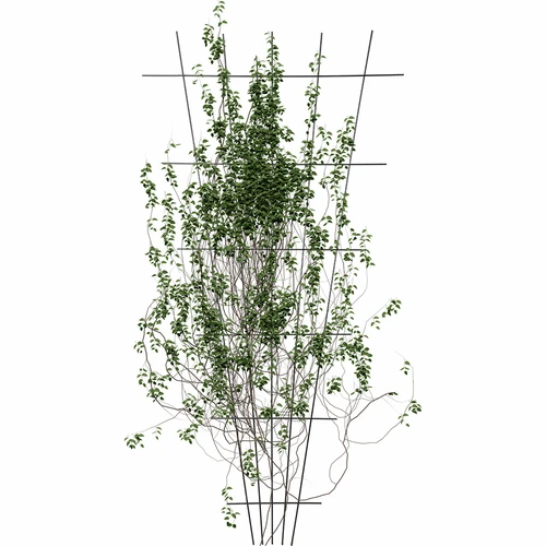 Στήριγμα για φυτά - καφασωτό (150cm x 75cm) 2 τεμάχια - 3