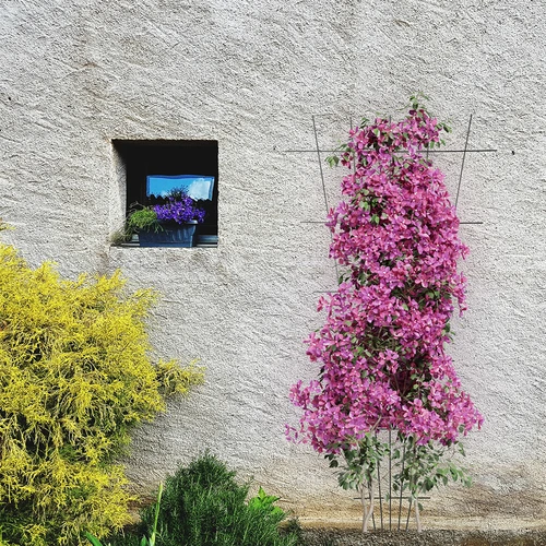 Στήριγμα για φυτά - καφασωτό (150cm x 75cm) 2 τεμάχια - 4