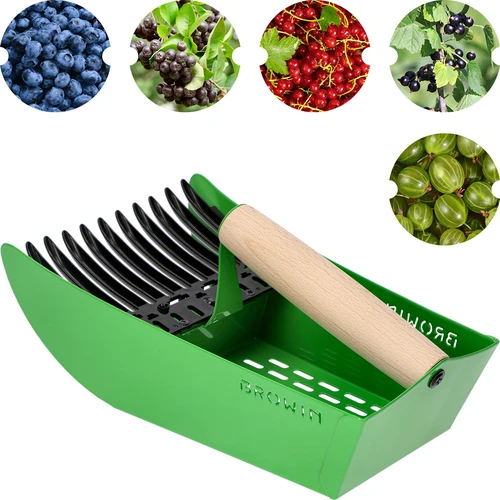 Συλλέκτης μικρών φρούτων, μεταλλικός, πράσινος - 2