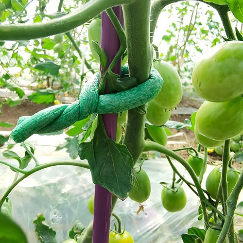 Σύρμα κήπου με επένδυση αφρού, πράσινο, 10 m, Ø 10 mm - 4