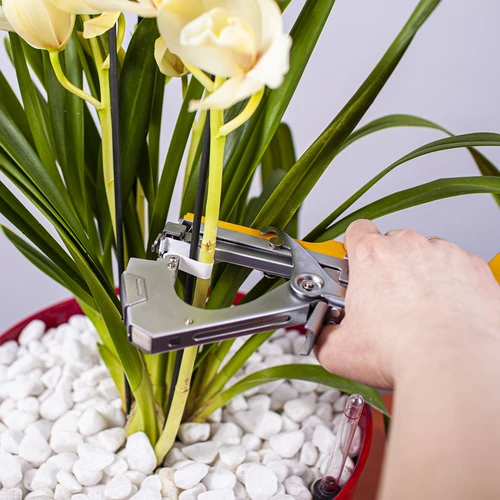 Συρραπτικά για συρραπτικό κήπου - 10000 τεμ. - 5