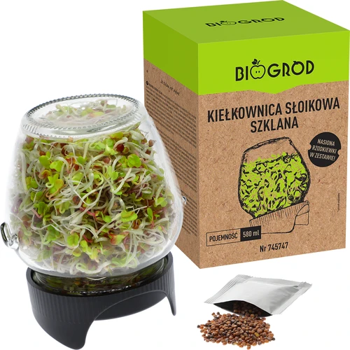 Συσκευή φύτρων τύπου βάζου Twist-off με σπόρους ραπανιού - 5