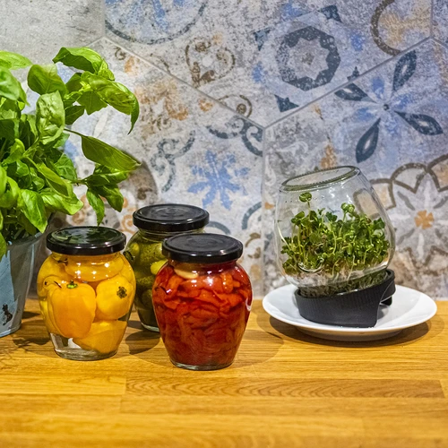 Συσκευή φύτρων τύπου βάζου Twist-off με σπόρους ραπανιού - 14