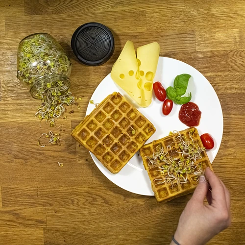 Συσκευή φύτρων τύπου βάζου Twist-off με σπόρους ραπανιού - 13