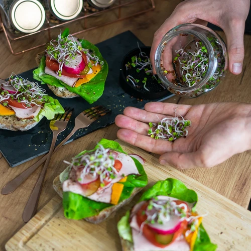 Συσκευή φύτρων τύπου βάζου Twist-off με σπόρους ραπανιού - 12