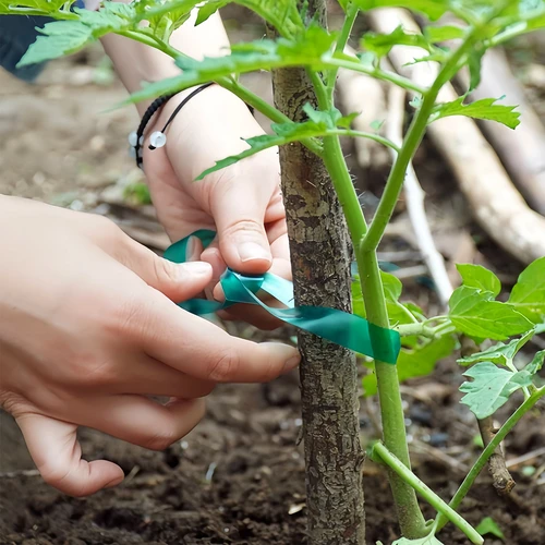 Ταινία δεσίματος φυτών PVC, 1,2 cm x 40m - 4