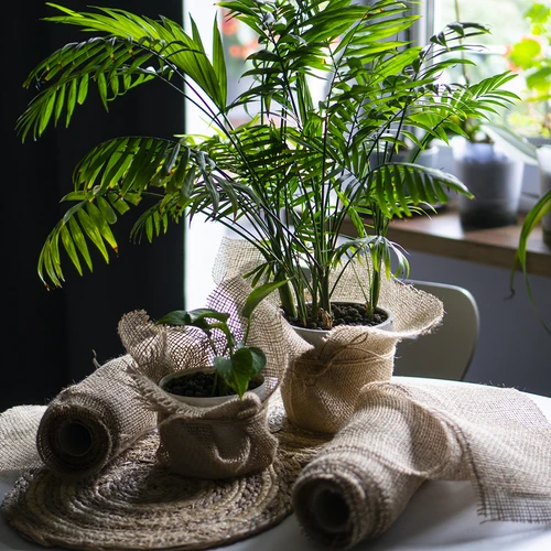 Ταινία γιούτας 10 cm/5 m - 9