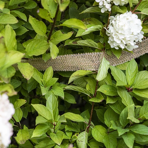 Ταινία γιούτας 5 cm /  8 m - 5